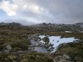 0109-1608 Thredbo (1095910)